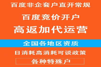 某公司信息流广告投放成功案例分析